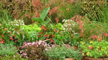 Using different containers and plants attractively hides the propane tank.