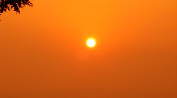 The sun provides vital nutrients.