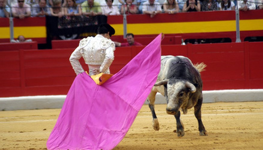 Matadors don brightly coloured costumes for bullfighting.